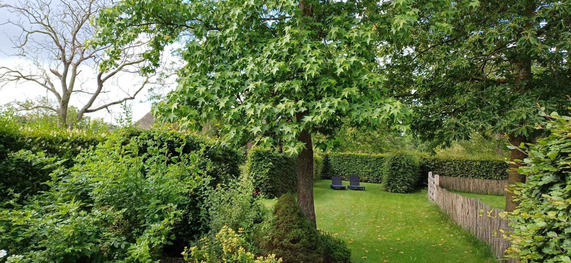 Bed & Breakfast Appenseweg Voorst Gem Voorst Dış mekan fotoğraf